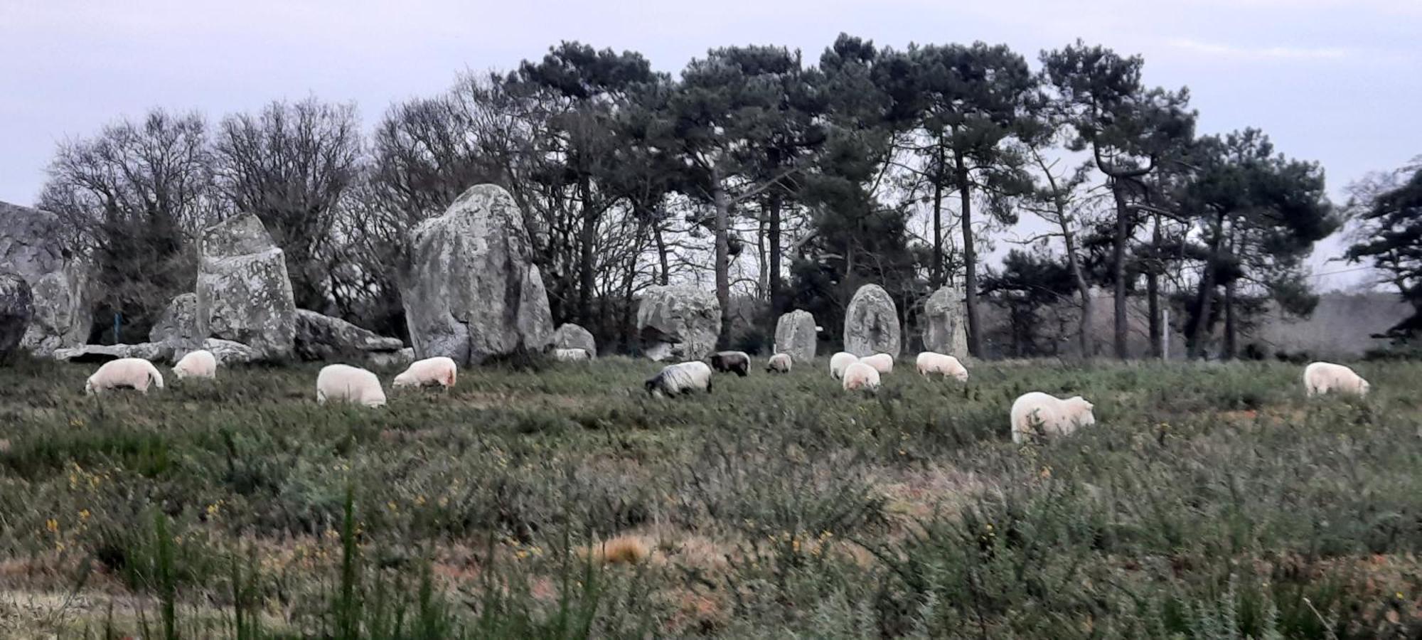 ホテル Back To Breizh Plouhinec  エクステリア 写真