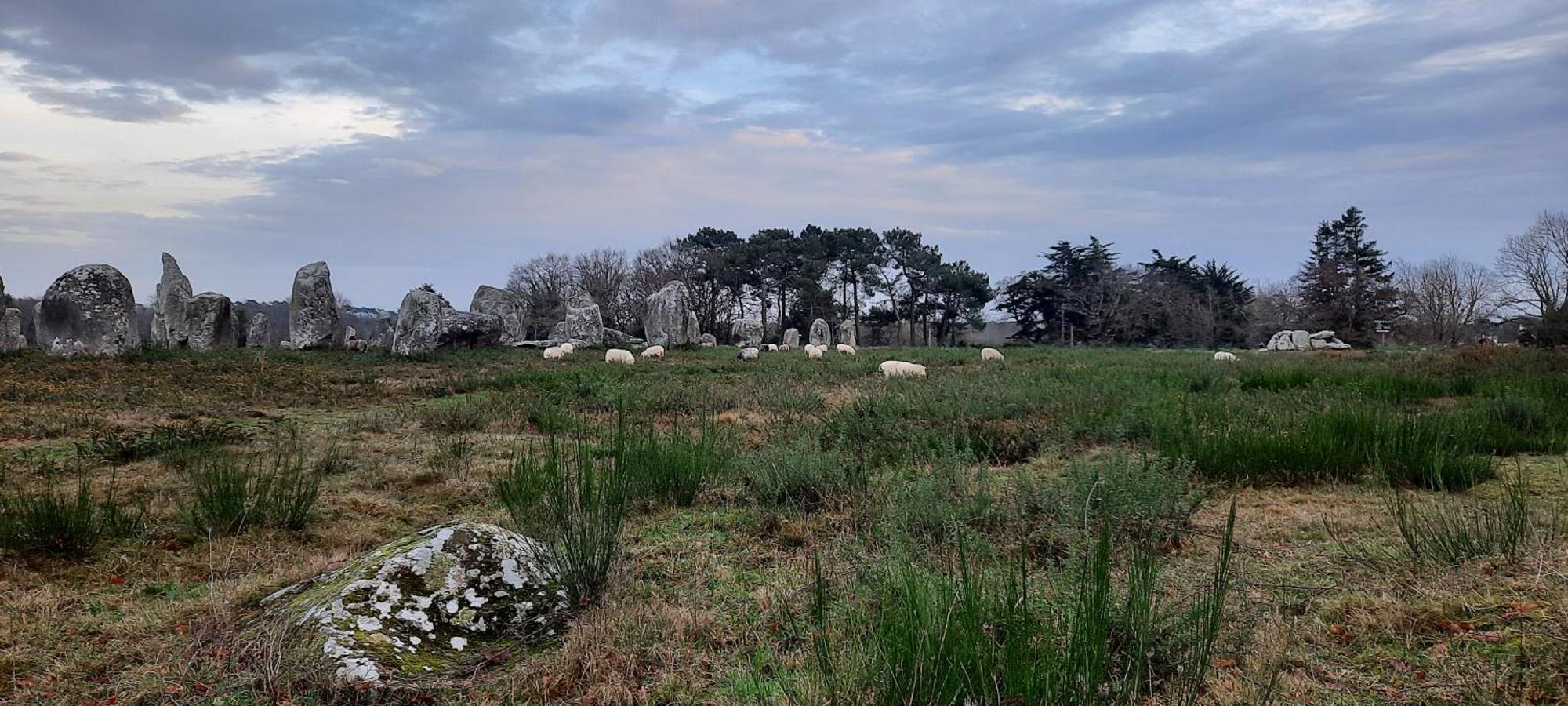 ホテル Back To Breizh Plouhinec  エクステリア 写真