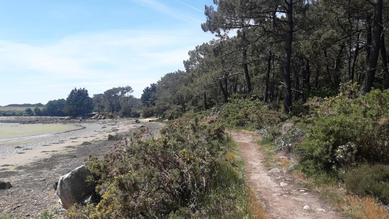 ホテル Back To Breizh Plouhinec  エクステリア 写真